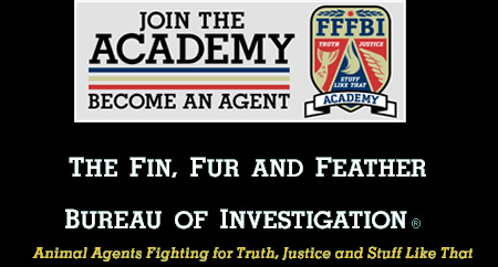 The Fin, Fur, Feather Bureau of Investigation