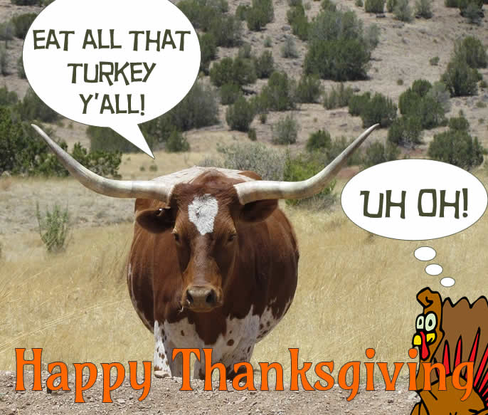 Happy Thanksgiving from HSINH